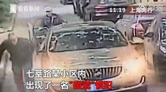 老伯碰瓷爆料视频大全最新,老伯碰瓷爆料视频大全深度解析